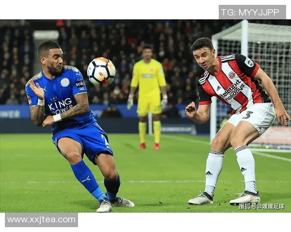 谢菲尔德联对阵狼队的比赛预测与分析深度解析 谢菲尔德联对阵狼队的比赛预测与分析深度解析