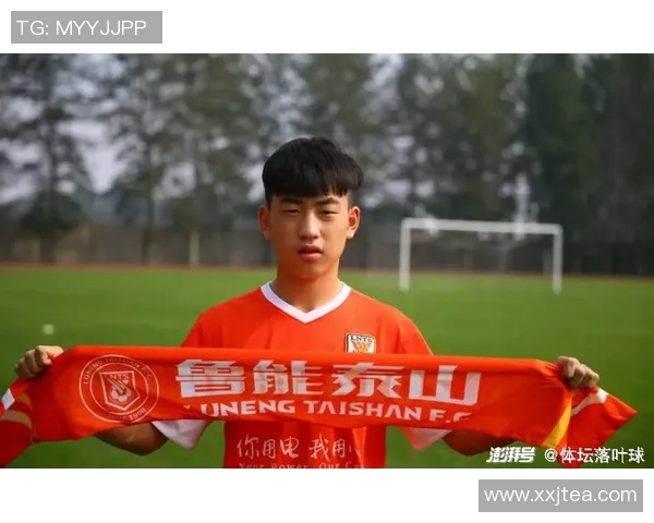 南京羽毛球队以71分稳居冠军赛积分榜首位展现强劲实力 南京羽毛球队以71分稳居冠军赛积分榜首位展现强劲实力