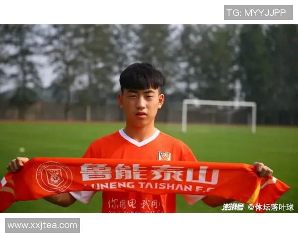 武汉羽毛球队以91分稳居总决赛积分榜首位展现强劲实力 武汉羽毛球队以91分稳居总决赛积分榜首位展现强劲实力