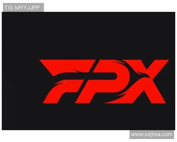 CSGO深度解析:FPX战队配合策略与战术运用全景剖析